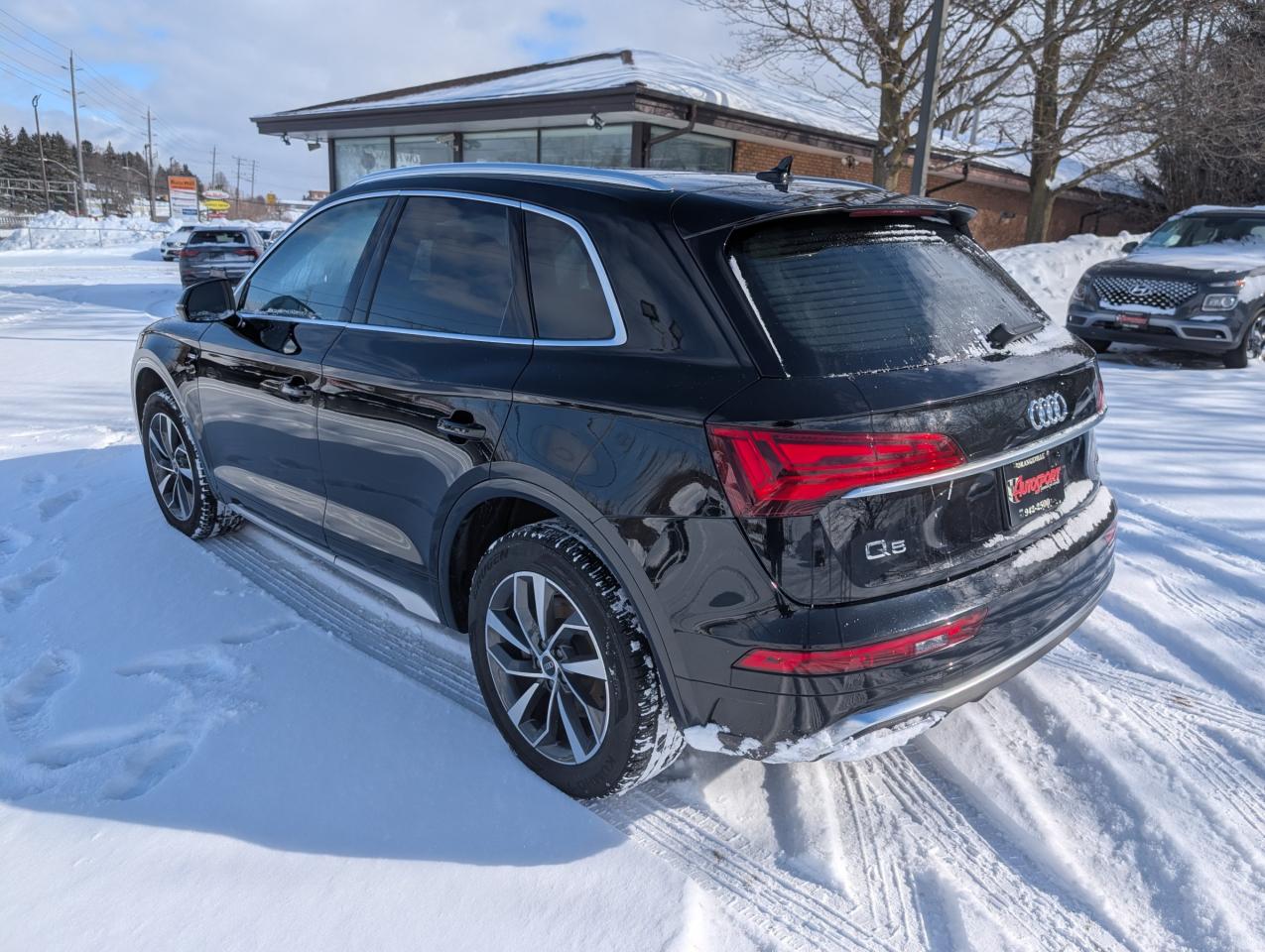2023 Audi Q5 45 Progressiv 4dr All-Wheel Drive quattro Sport Utility Photo