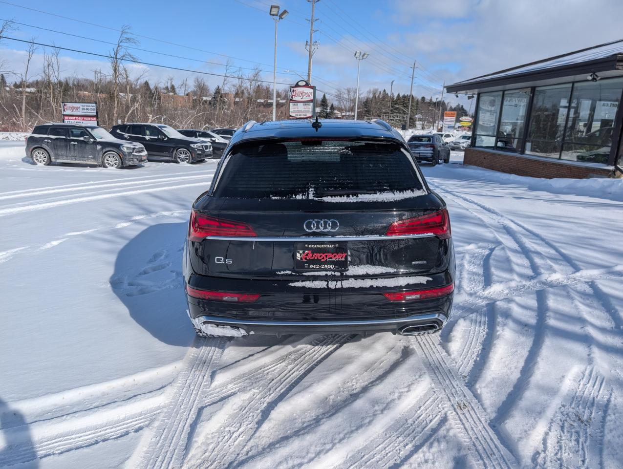2023 Audi Q5 45 Progressiv 4dr All-Wheel Drive quattro Sport Utility Photo
