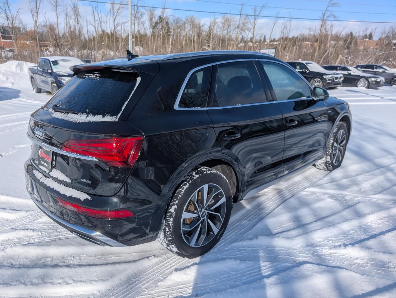 2023 Audi Q5 45 Progressiv 4dr All-Wheel Drive quattro Sport Utility Photo