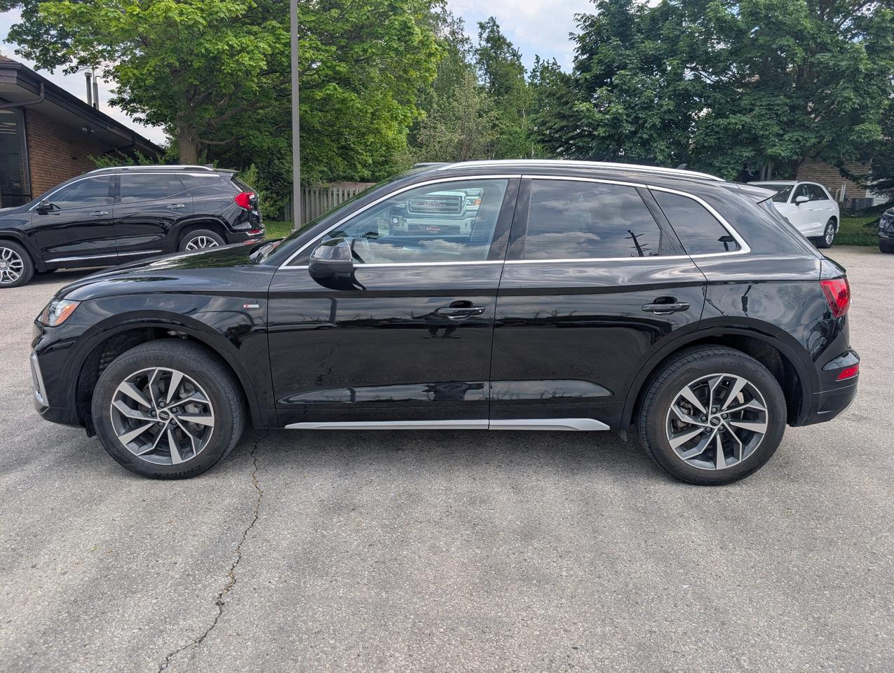 2023 Audi Q5 45 Progressiv 4dr All-Wheel Drive quattro Sport Utility Photo