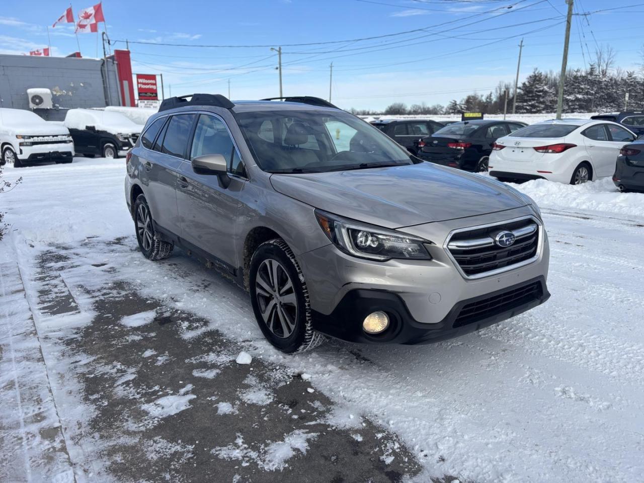 2019 Subaru Outback  Photo