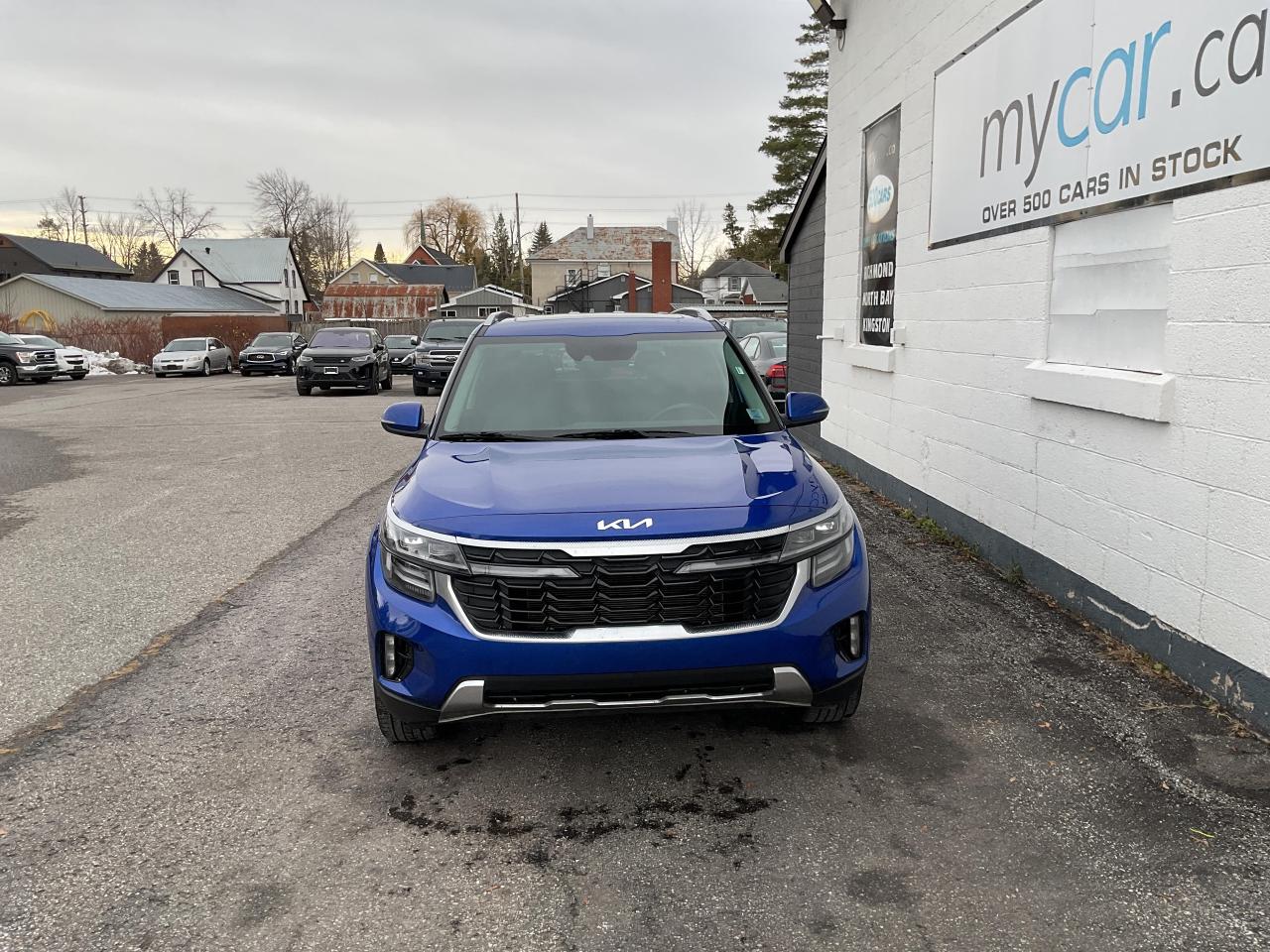 2024 Kia Seltos  Photo