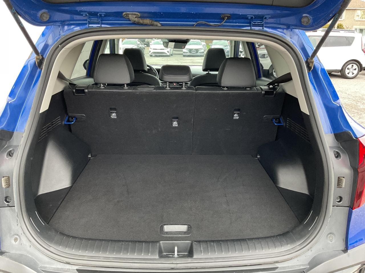 2024 Kia Seltos  Photo