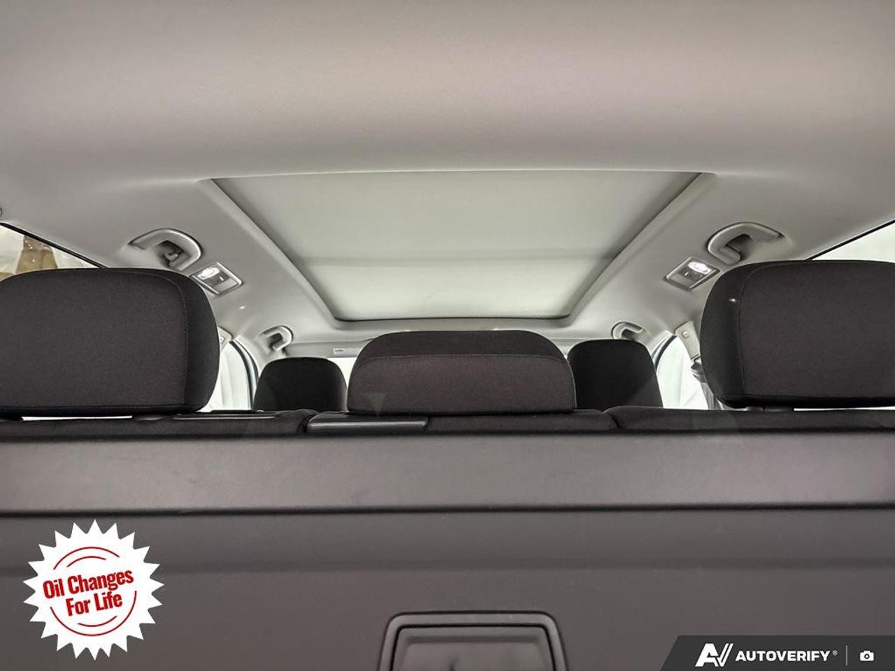 2021 Volkswagen Tiguan United 4MOTION Photo