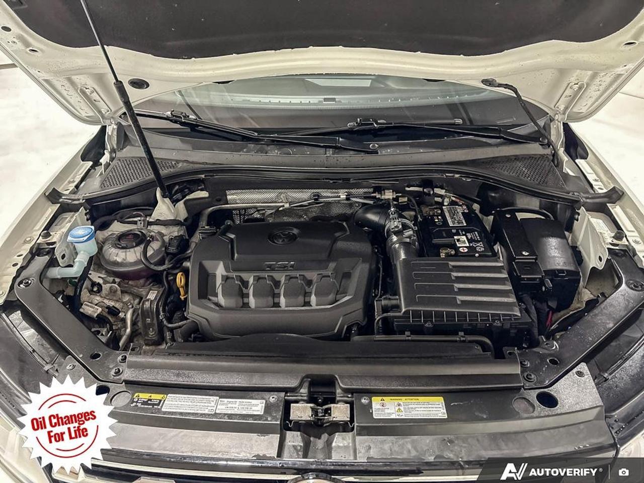 2021 Volkswagen Tiguan United 4MOTION Photo