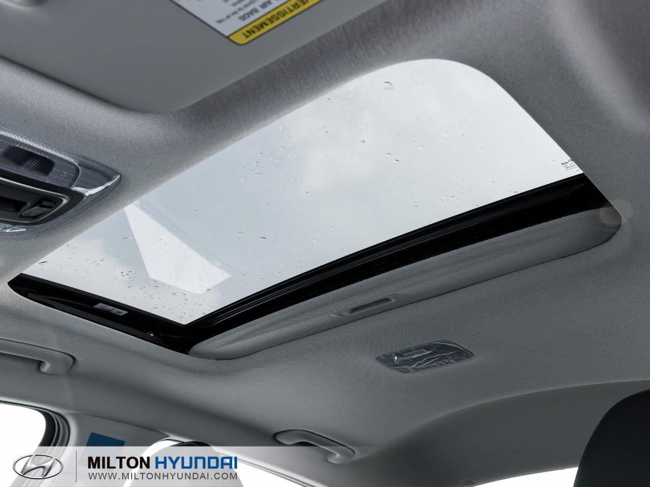 2026 Hyundai Elantra  Photo