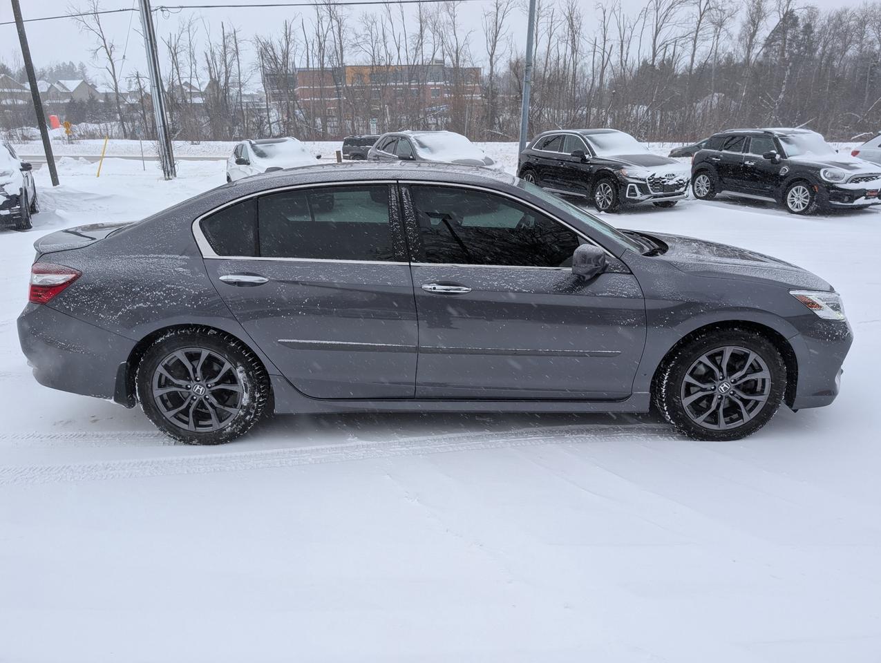 2016 Honda Accord Touring (CVT) 4dr Sedan Photo