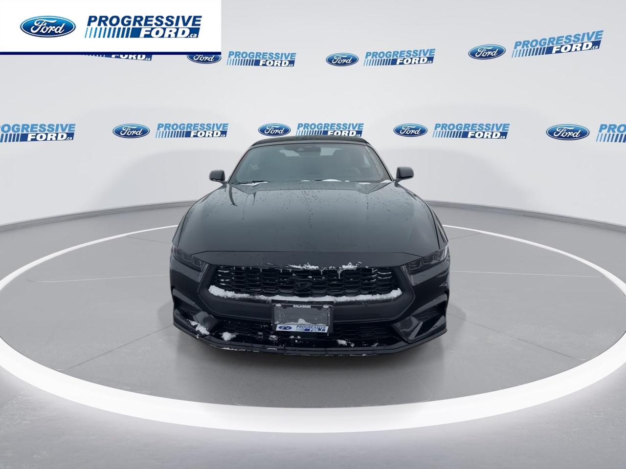 2026 Ford Mustang EcoBoost 2dr Convertible Photo