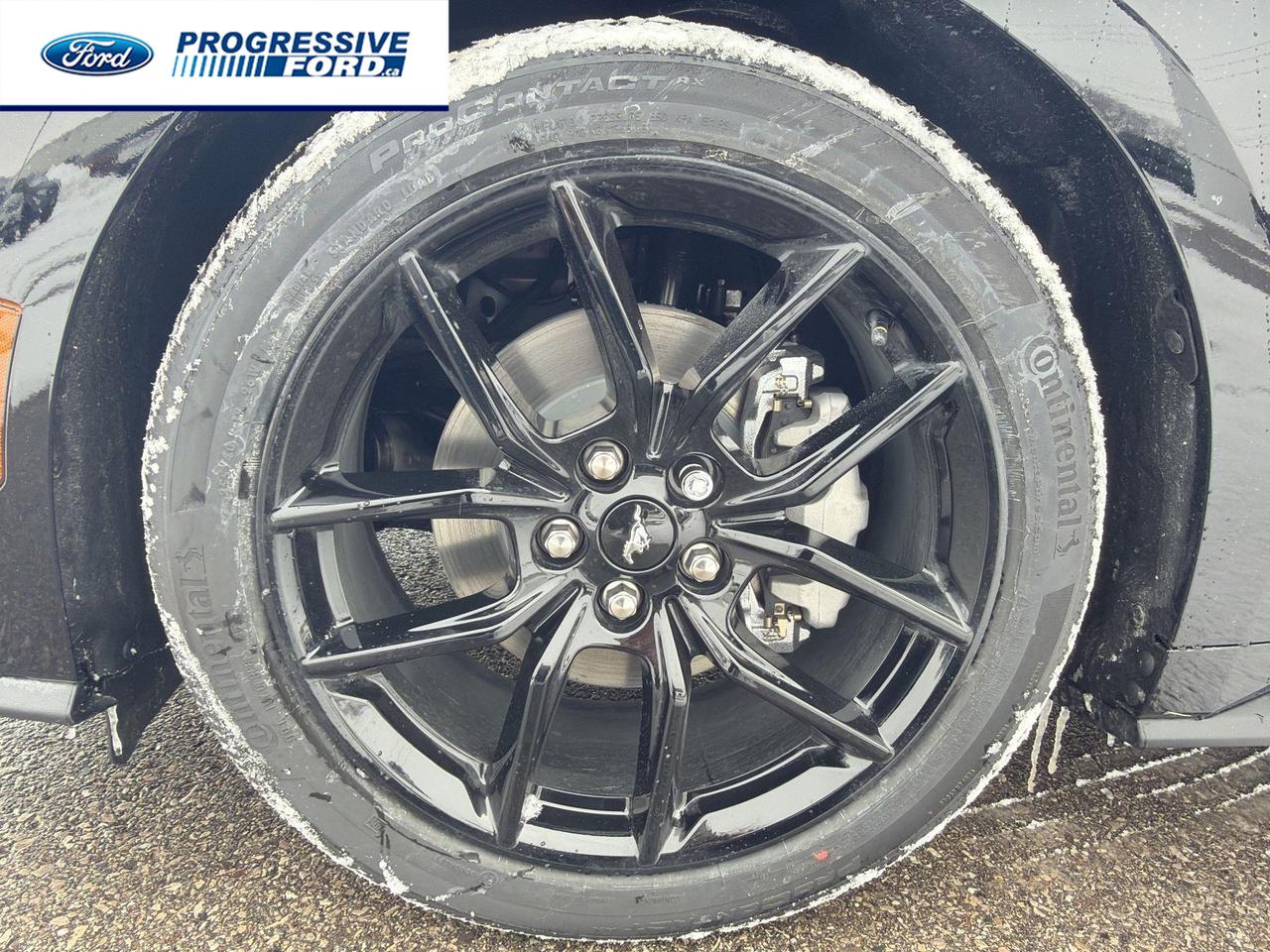 2026 Ford Mustang EcoBoost 2dr Convertible Photo