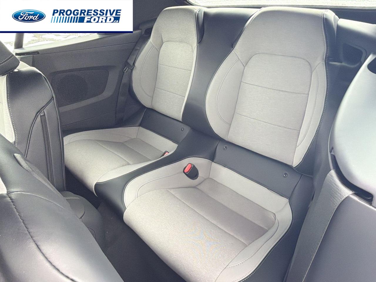 2026 Ford Mustang EcoBoost 2dr Convertible Photo