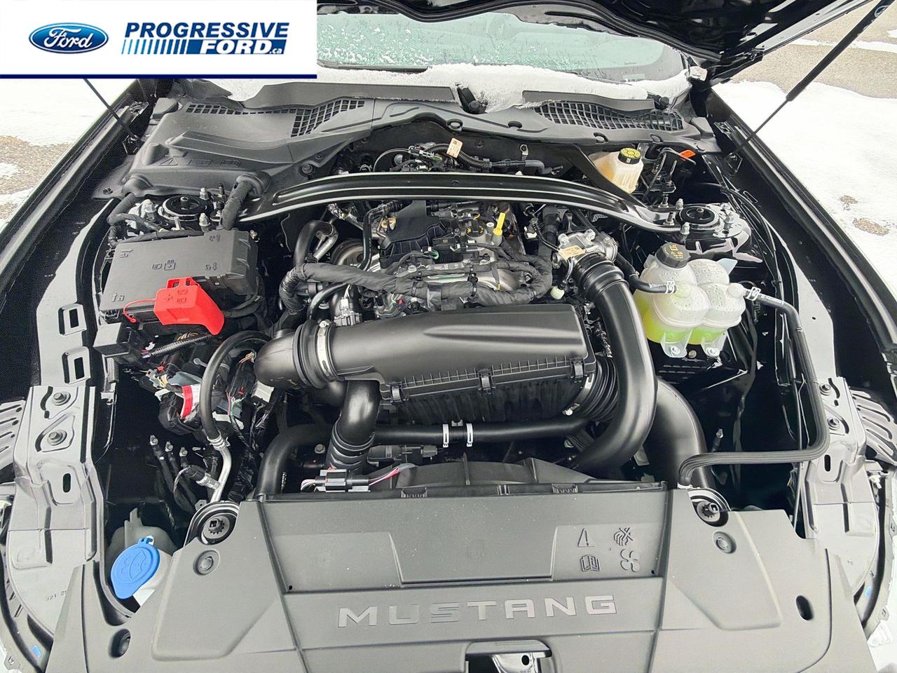 2026 Ford Mustang EcoBoost 2dr Convertible Photo