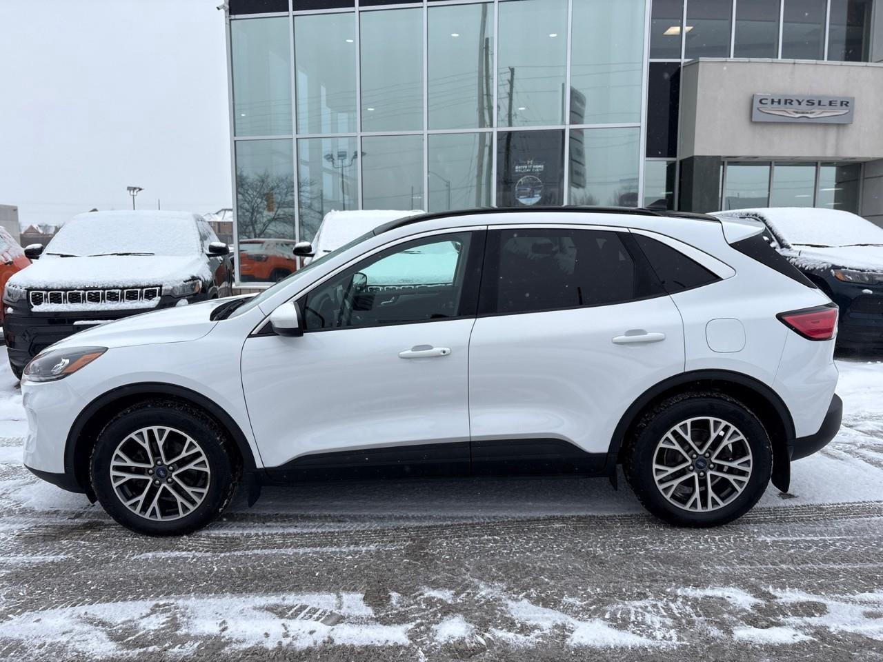 2020 Ford Escape SEL 4dr All-Wheel Drive Photo