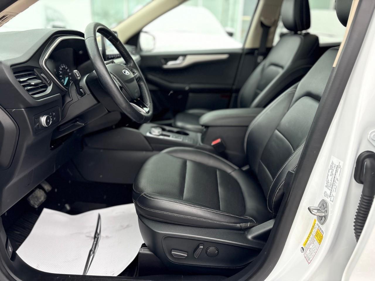 2020 Ford Escape SEL 4dr All-Wheel Drive Photo