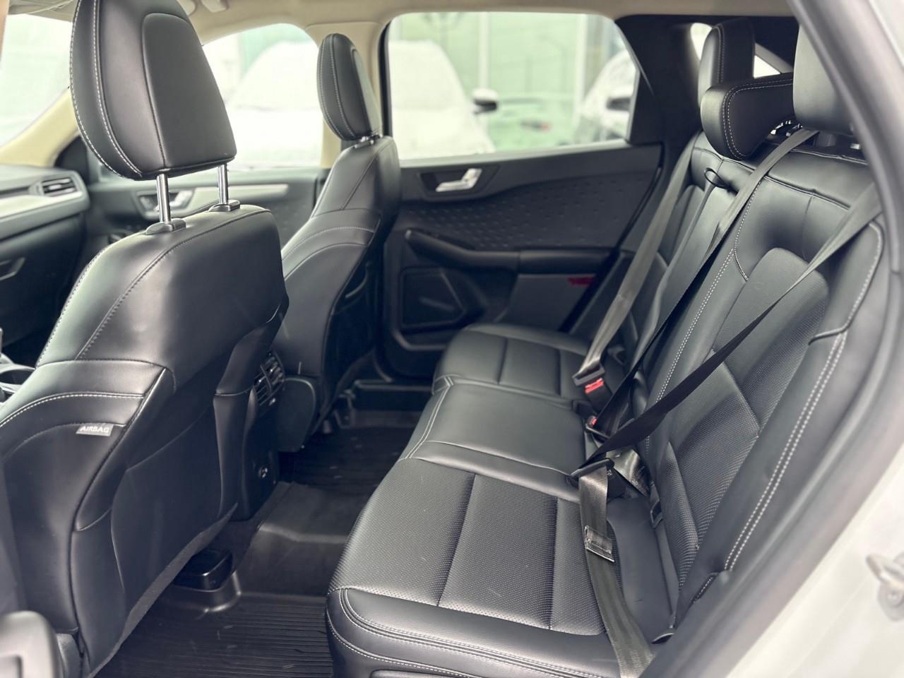 2020 Ford Escape SEL 4dr All-Wheel Drive Photo