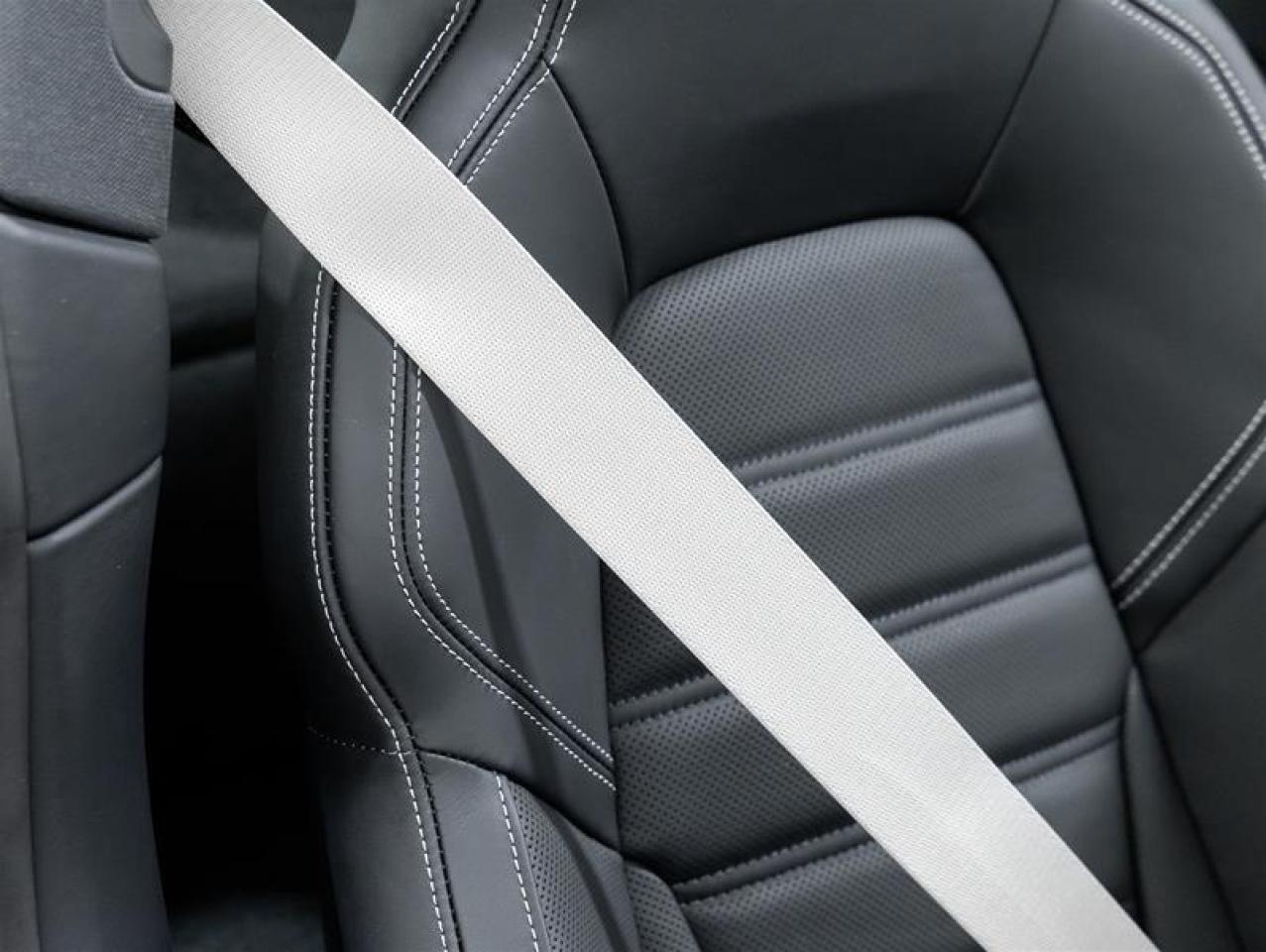 2026 Porsche 911  Photo