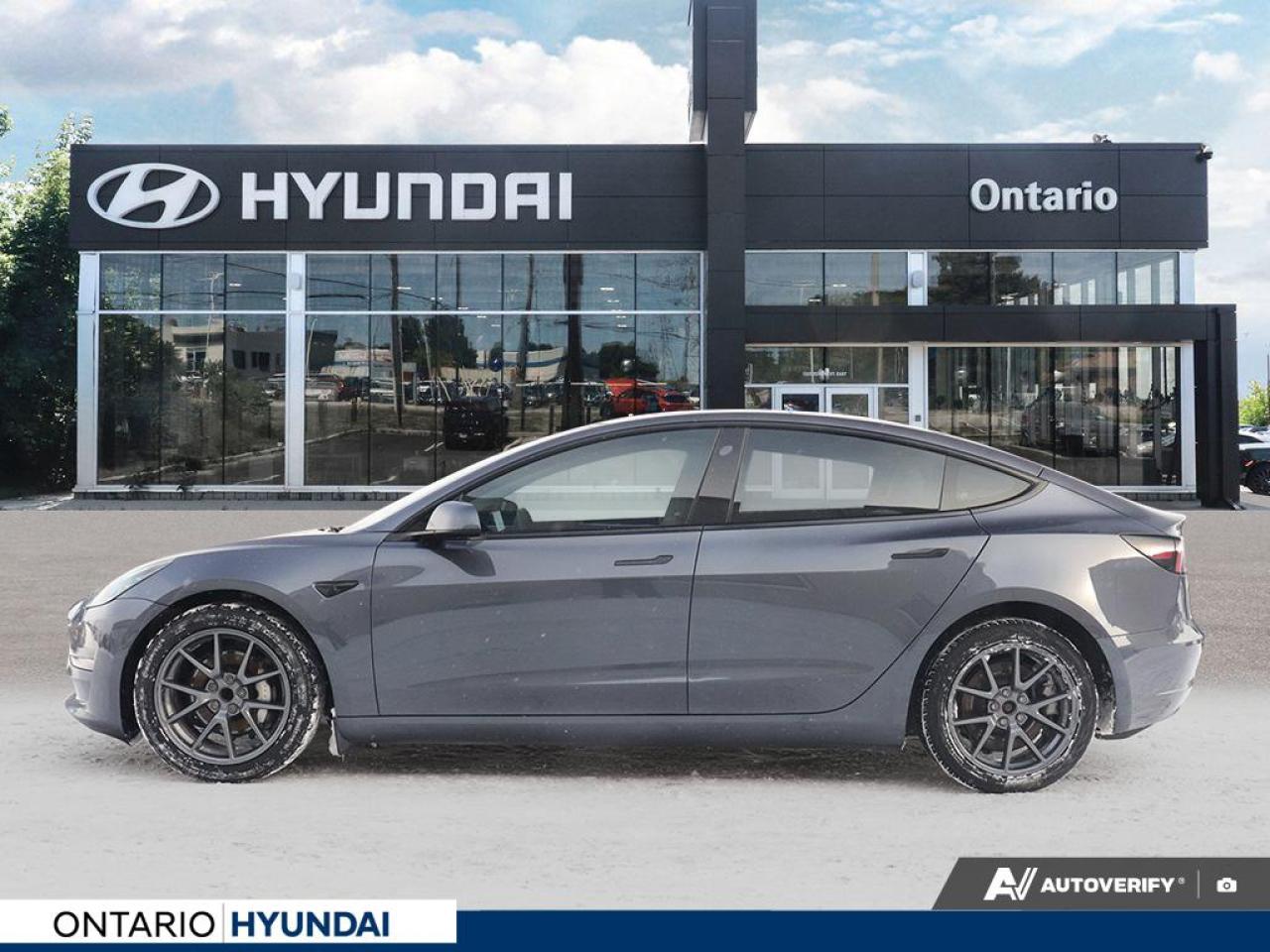 2023 Tesla Model 3 Base 4dr Rear-Wheel Drive Sedan Photo