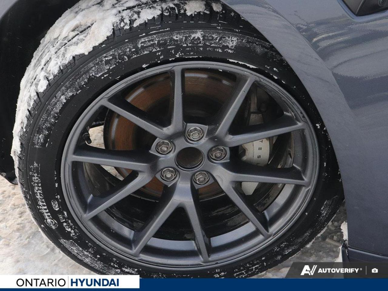 2023 Tesla Model 3 Base 4dr Rear-Wheel Drive Sedan Photo