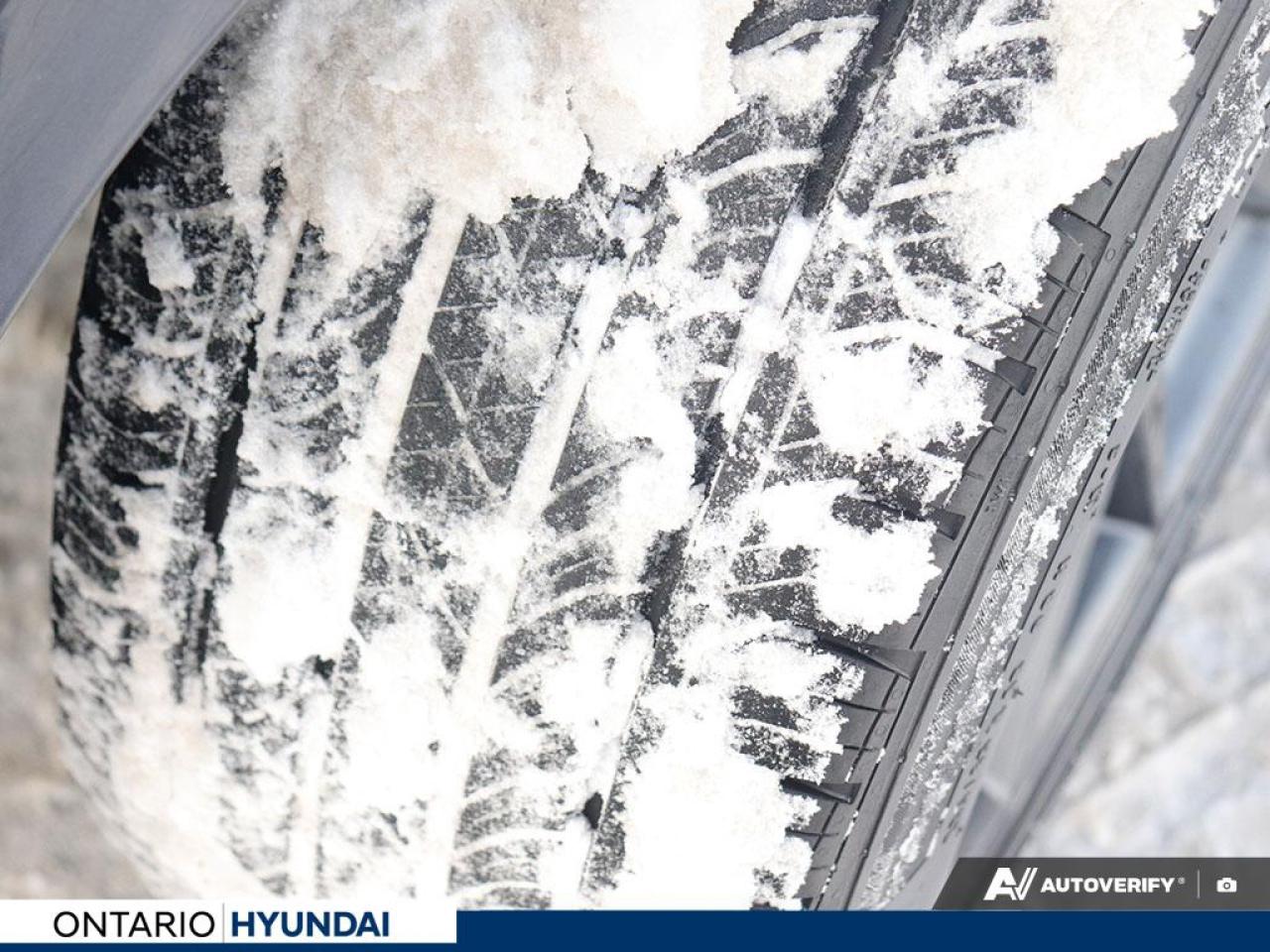 2023 Tesla Model 3 Base 4dr Rear-Wheel Drive Sedan Photo