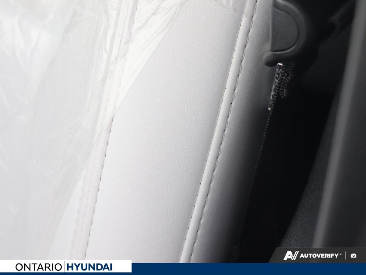 2023 Tesla Model 3 Base 4dr Rear-Wheel Drive Sedan Photo