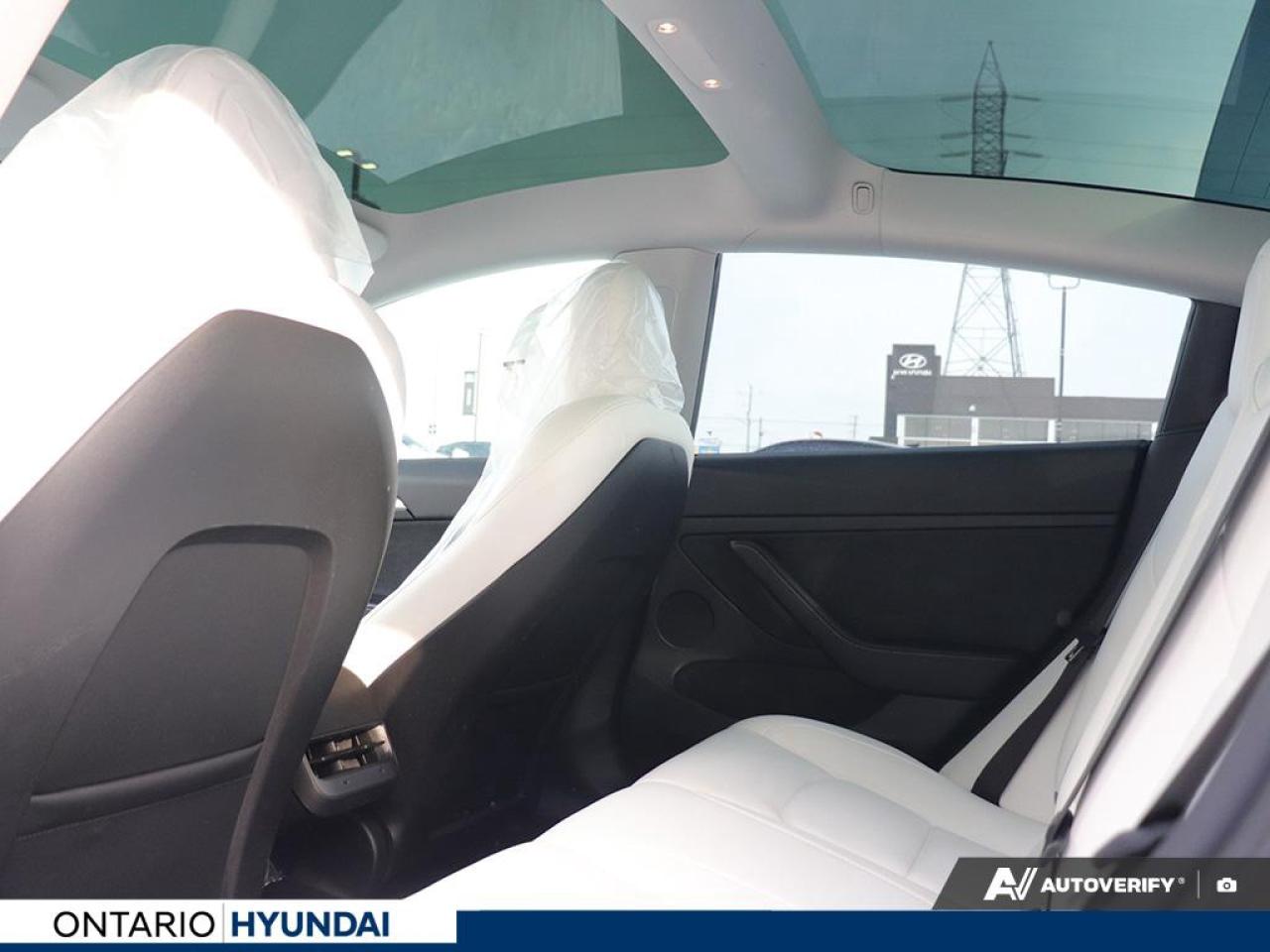 2023 Tesla Model 3 Base 4dr Rear-Wheel Drive Sedan Photo