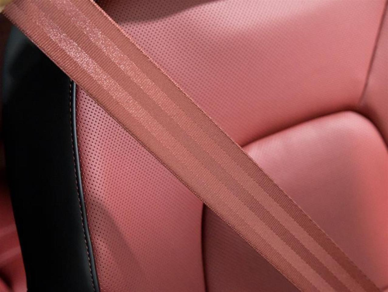 2026 Porsche Cayenne  Photo