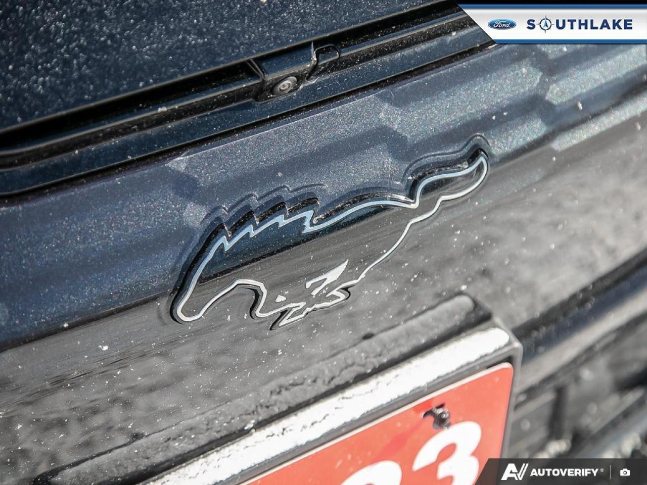 2023 Ford Mustang Mach-E GT Performance Edition 4dr All-Wheel Drive Photo