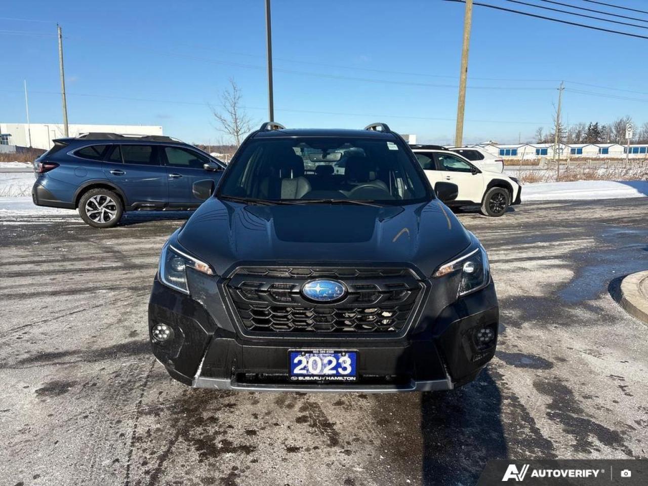 2023 Subaru Forester Wilderness 4dr All-Wheel Drive Photo