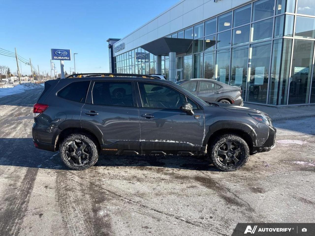 2023 Subaru Forester Wilderness 4dr All-Wheel Drive Photo2