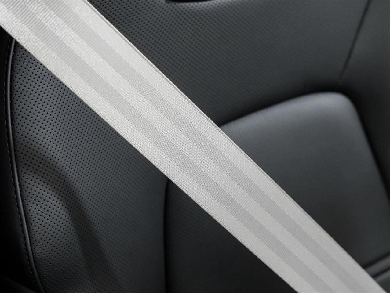 2026 Porsche Cayenne  Photo