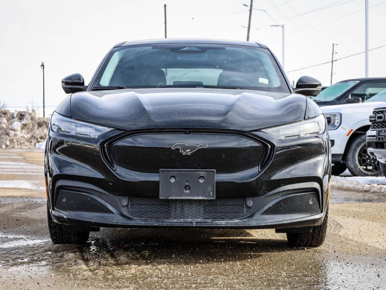 2022 Ford Mustang Mach-E Premium 4dr All-Wheel Drive Photo