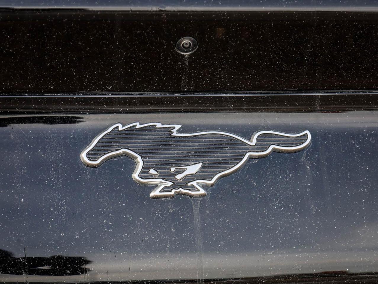 2022 Ford Mustang Mach-E Premium 4dr All-Wheel Drive Photo