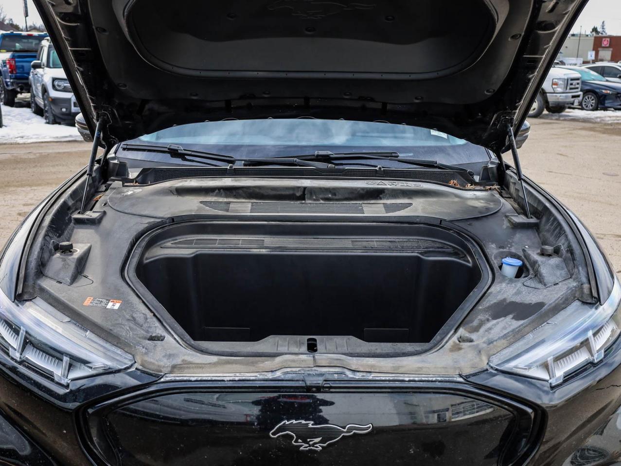 2022 Ford Mustang Mach-E Premium 4dr All-Wheel Drive Photo