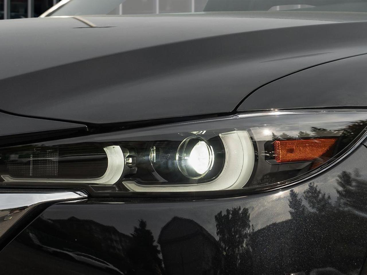 2025 Mazda CX-5 Signature 4dr i-ACTIV All-Wheel Drive Sport Utility Photo