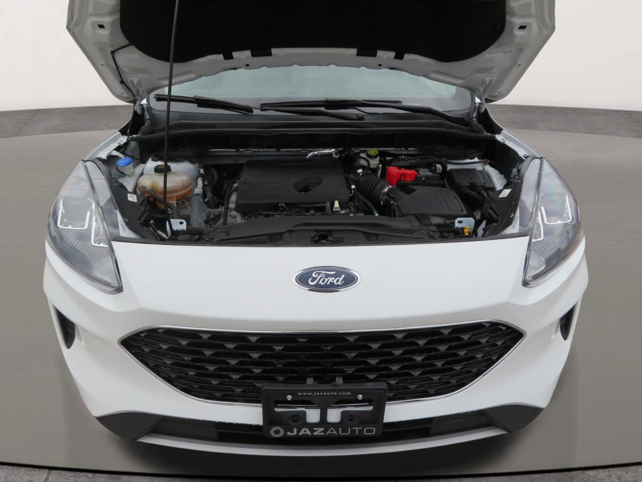 2020 Ford Escape SE FWD Photo