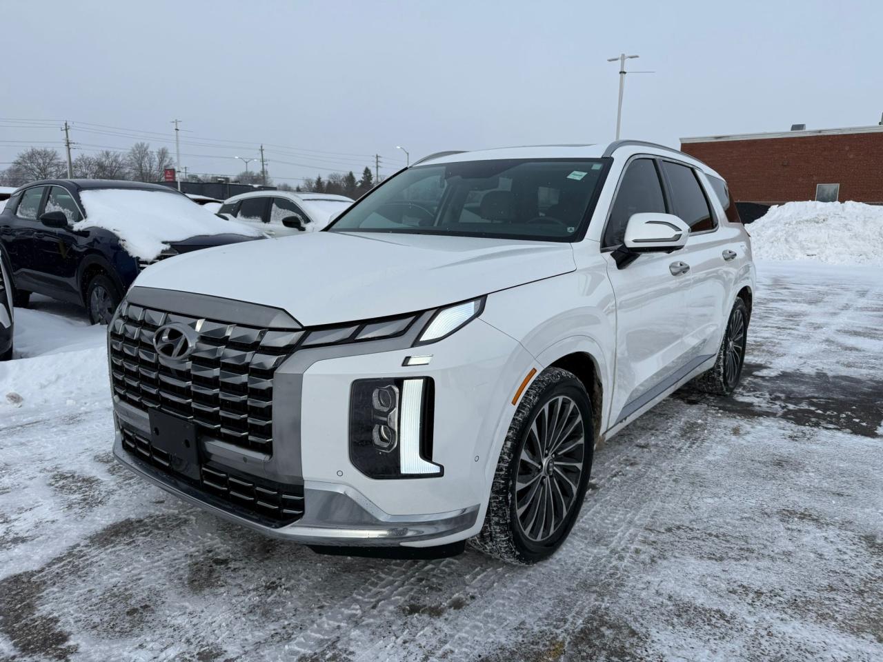 2023 Hyundai PALISADE Ultimate Calligraphy w/Beige Interior 4dr All-Wheel Drive Photo