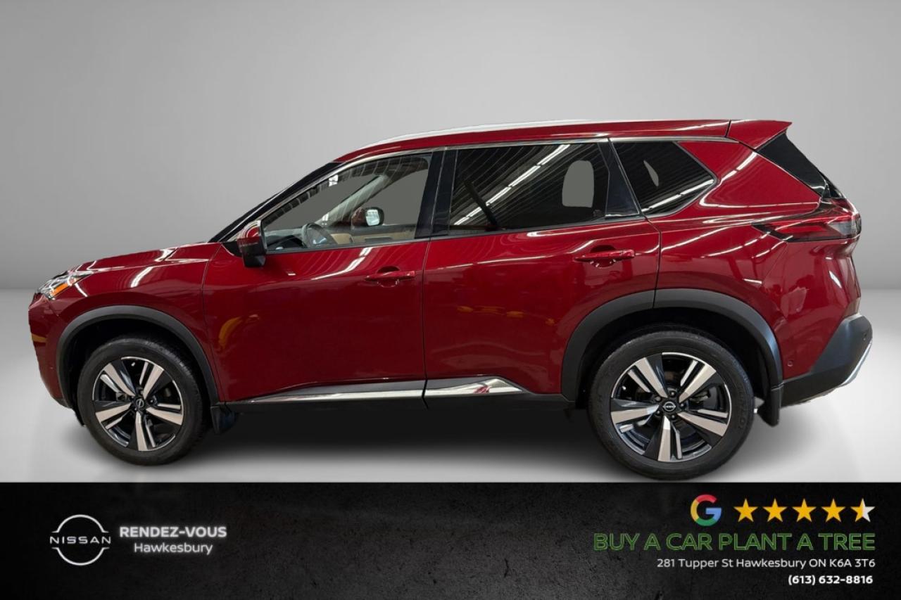 2023 Nissan Rogue Platinum Photo
