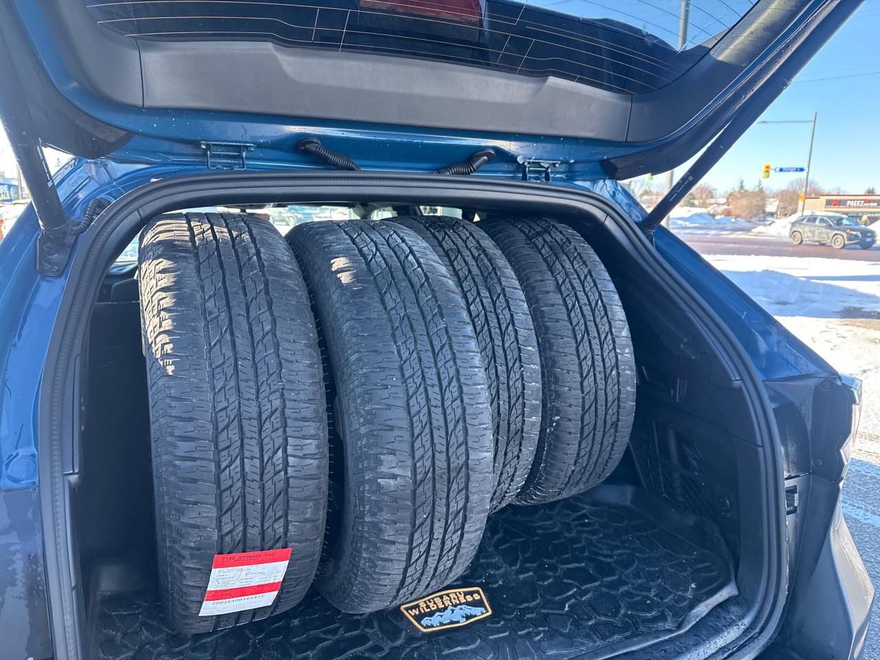 2023 Subaru Outback Wilderness 4dr All-Wheel Drive Photo