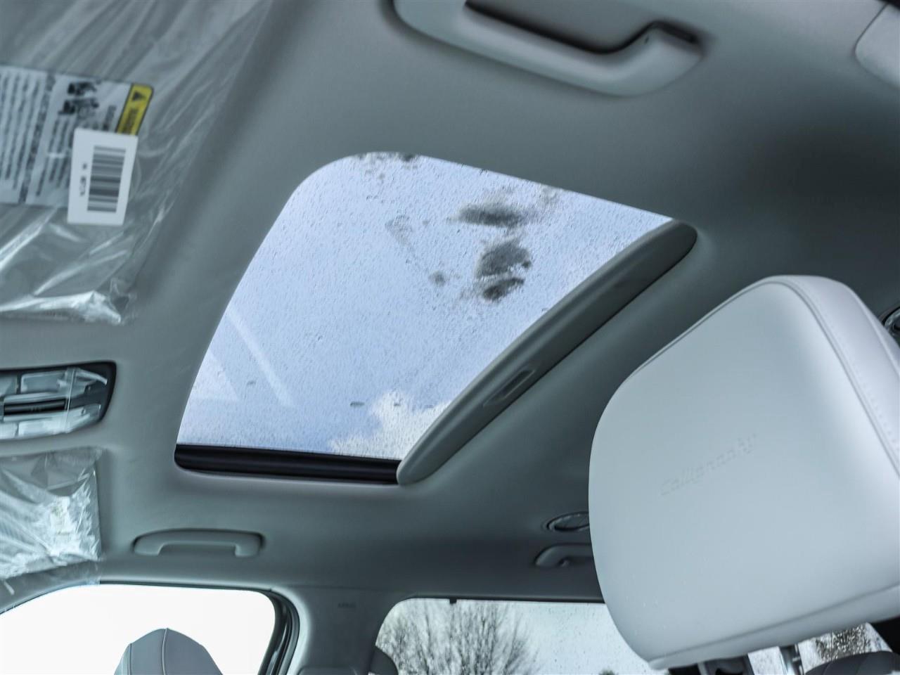 2026 Hyundai PALISADE Ultimate Calligraphy 4dr All-Wheel Drive Photo