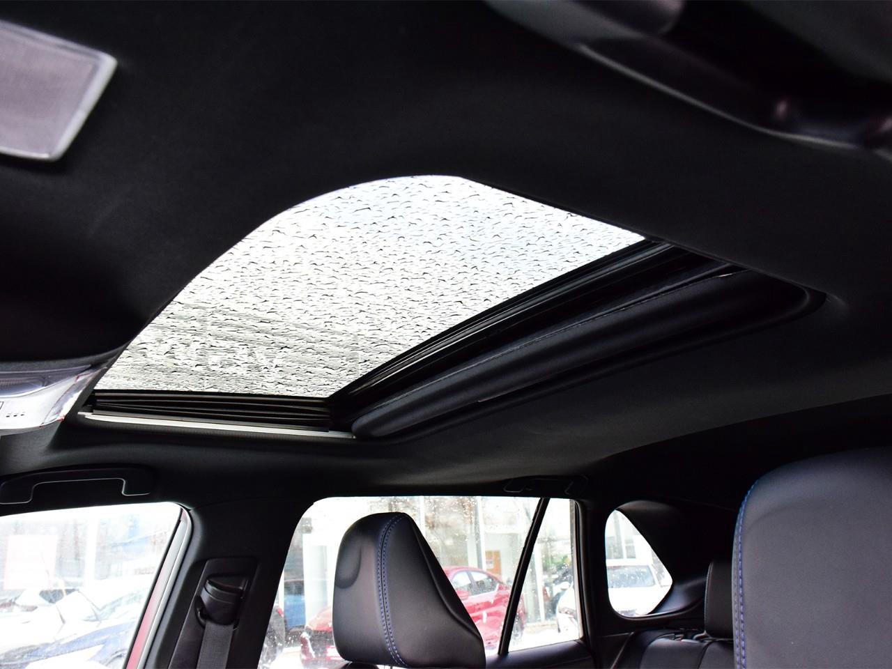 2020 Toyota RAV4 Hybrid XLE 4dr All-Wheel Drive Photo