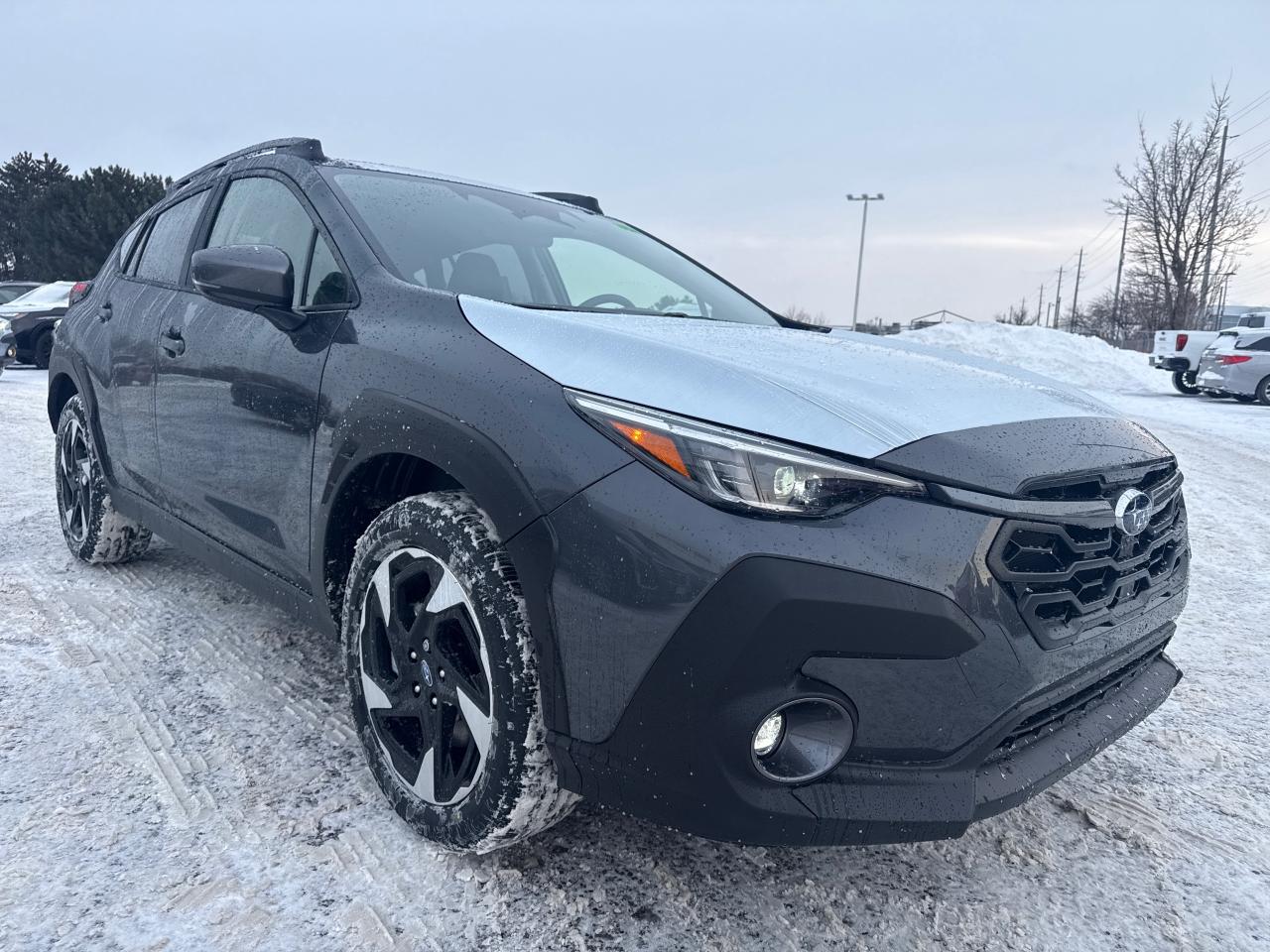 2026 Subaru Crosstrek Limited 4dr All-Wheel Drive Photo