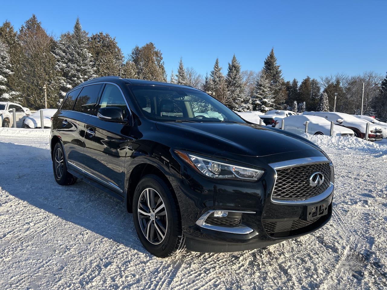 2018 Infiniti QX60 Bluetooth, Nav, Back Up Cam Photo2