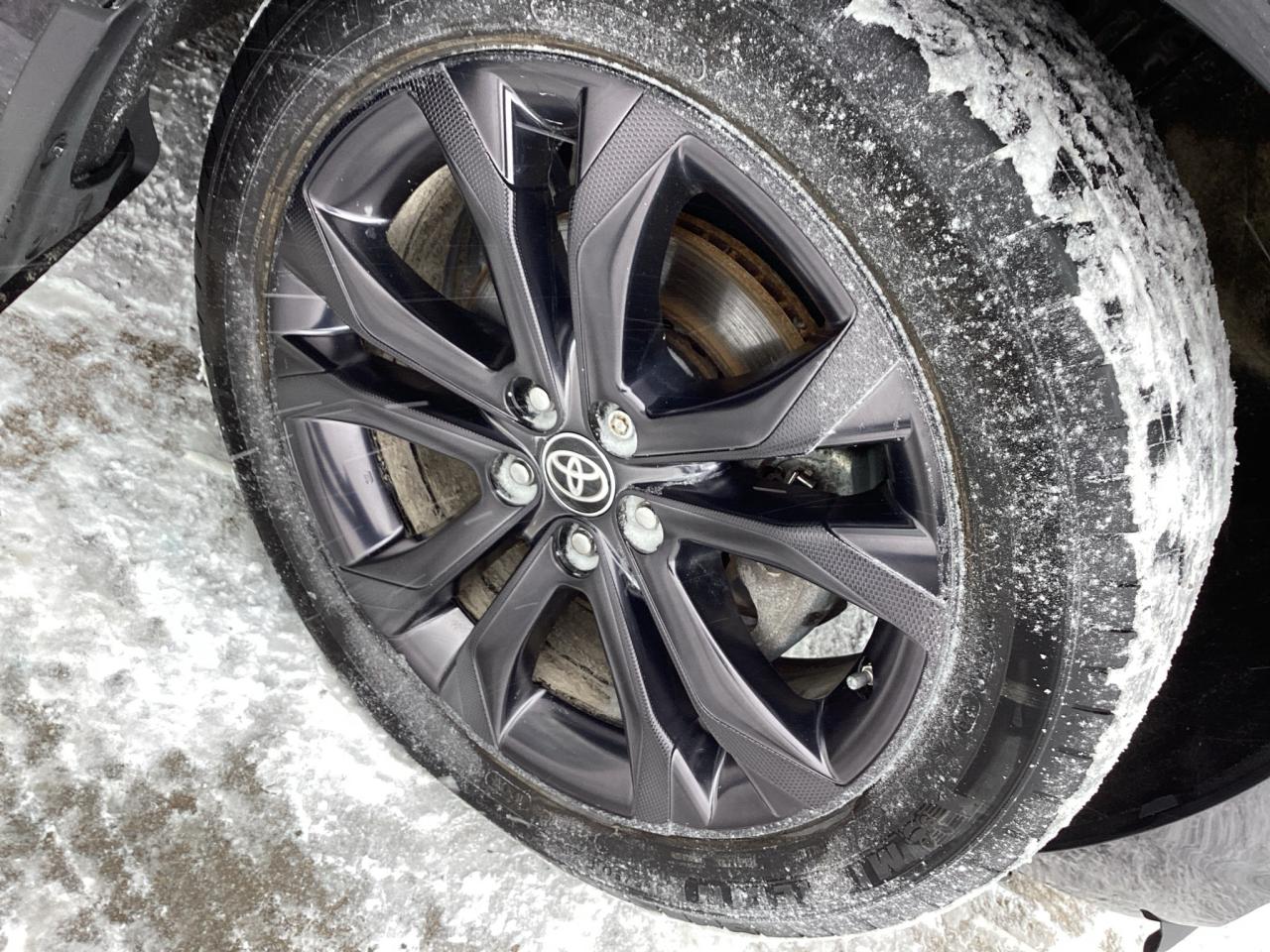 2023 Toyota Sienna XSE 7-Passenger FWD Photo