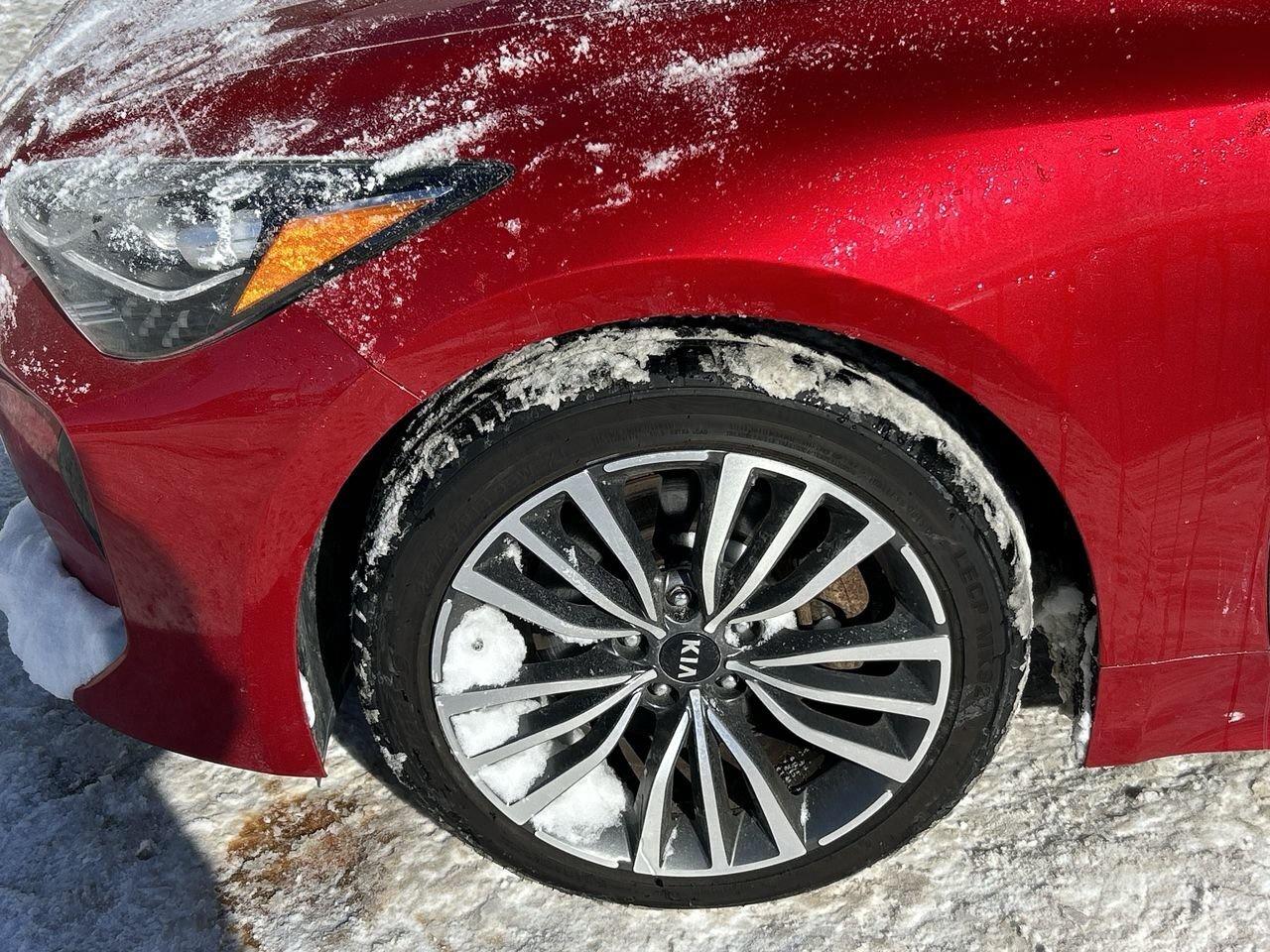 2019 Kia Stinger GT-Line   Sporty Luxury & Performance Combined NO Photo