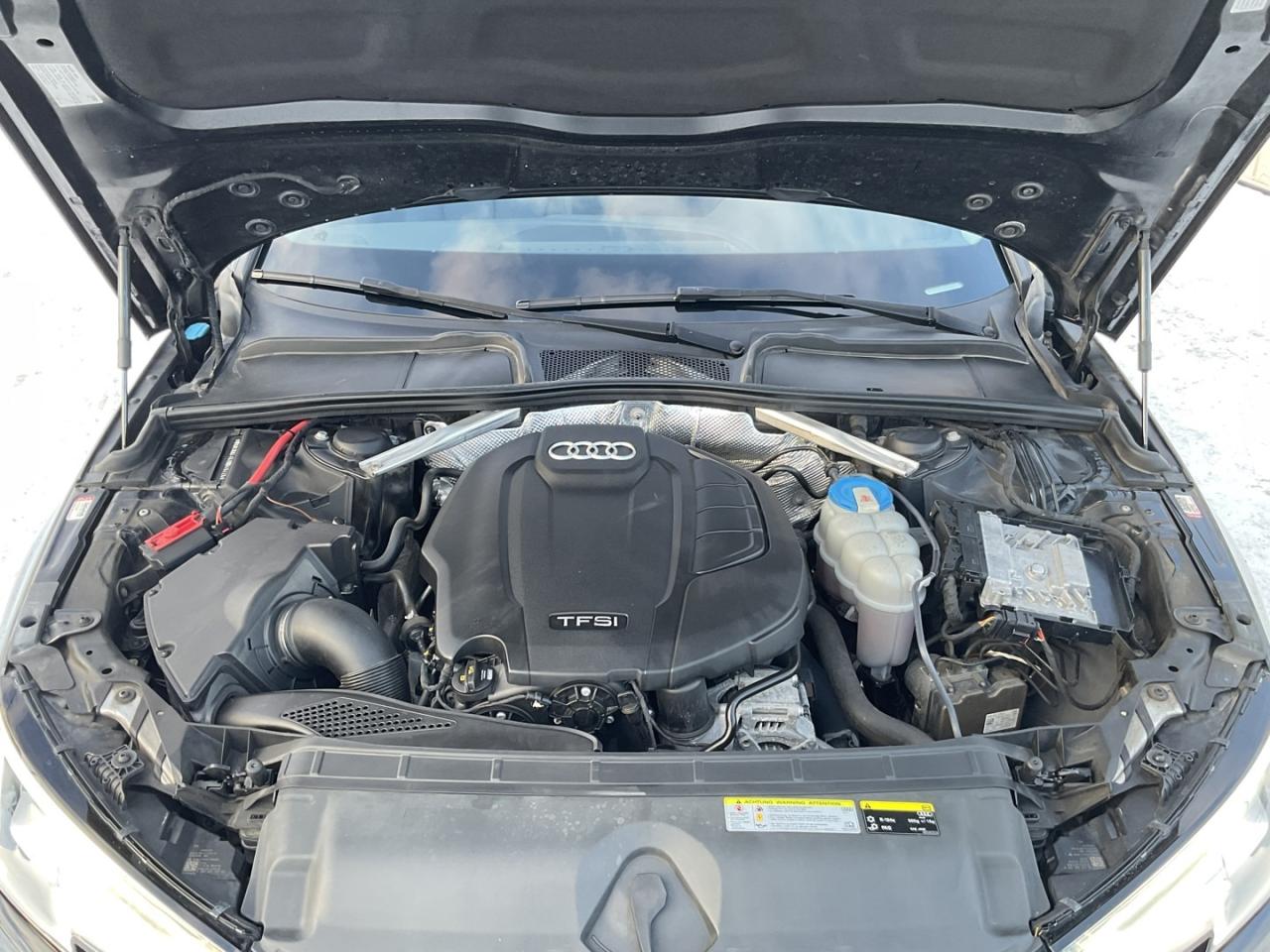 2017 Audi A4 Technik Quattro Sedan - B&O AUDIO! LTHR! NAV! 360 Photo