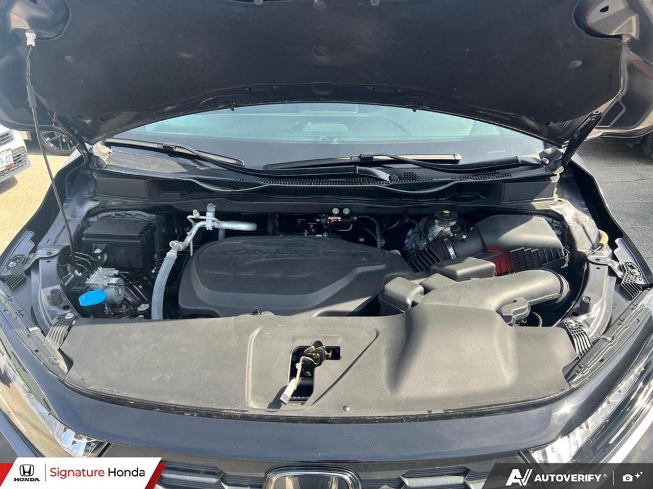 2025 Honda Odyssey Sport-L Photo