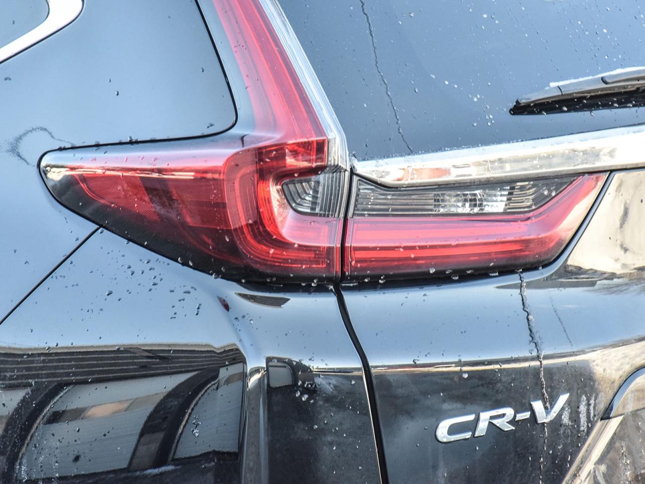 2020 Honda CR-V EX-L Photo