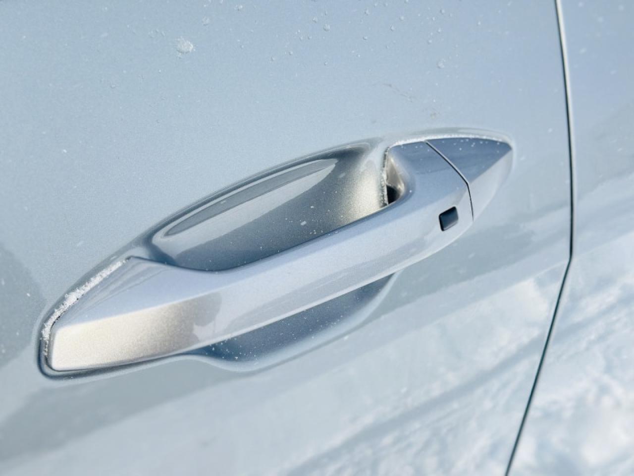 2024 Kia Sportage X-line AWD Photo