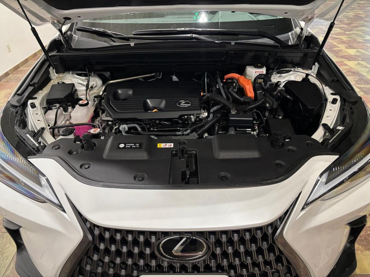 2024 Lexus NX 350h LUXURY PACKAGE   LEXUS CERTIFIED PRE-OWNED   CARFA Photo