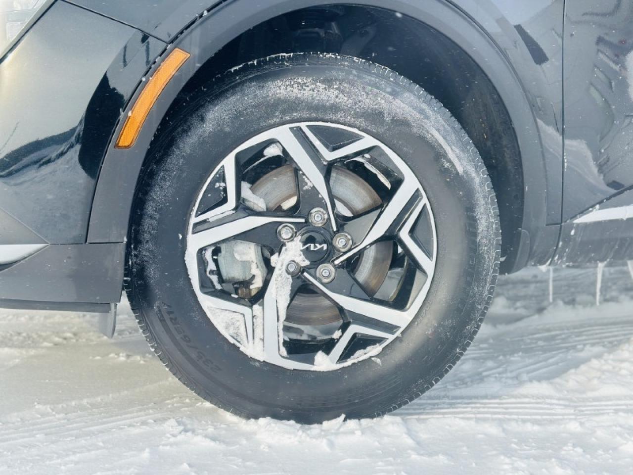 2024 Kia Sportage LX AWD Photo2