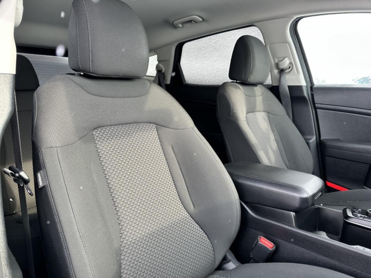 2024 Kia Sportage LX AWD Photo